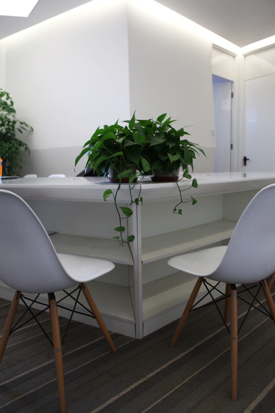 上海辦公室裝修公司綠植擺放設(shè)計(jì)-第4張圖片-上海古都建筑設(shè)計(jì)集團(tuán) 上海辦公室裝修公司綠植擺放設(shè)計(jì)-第4張圖片-上海古都建筑設(shè)計(jì)集團(tuán)