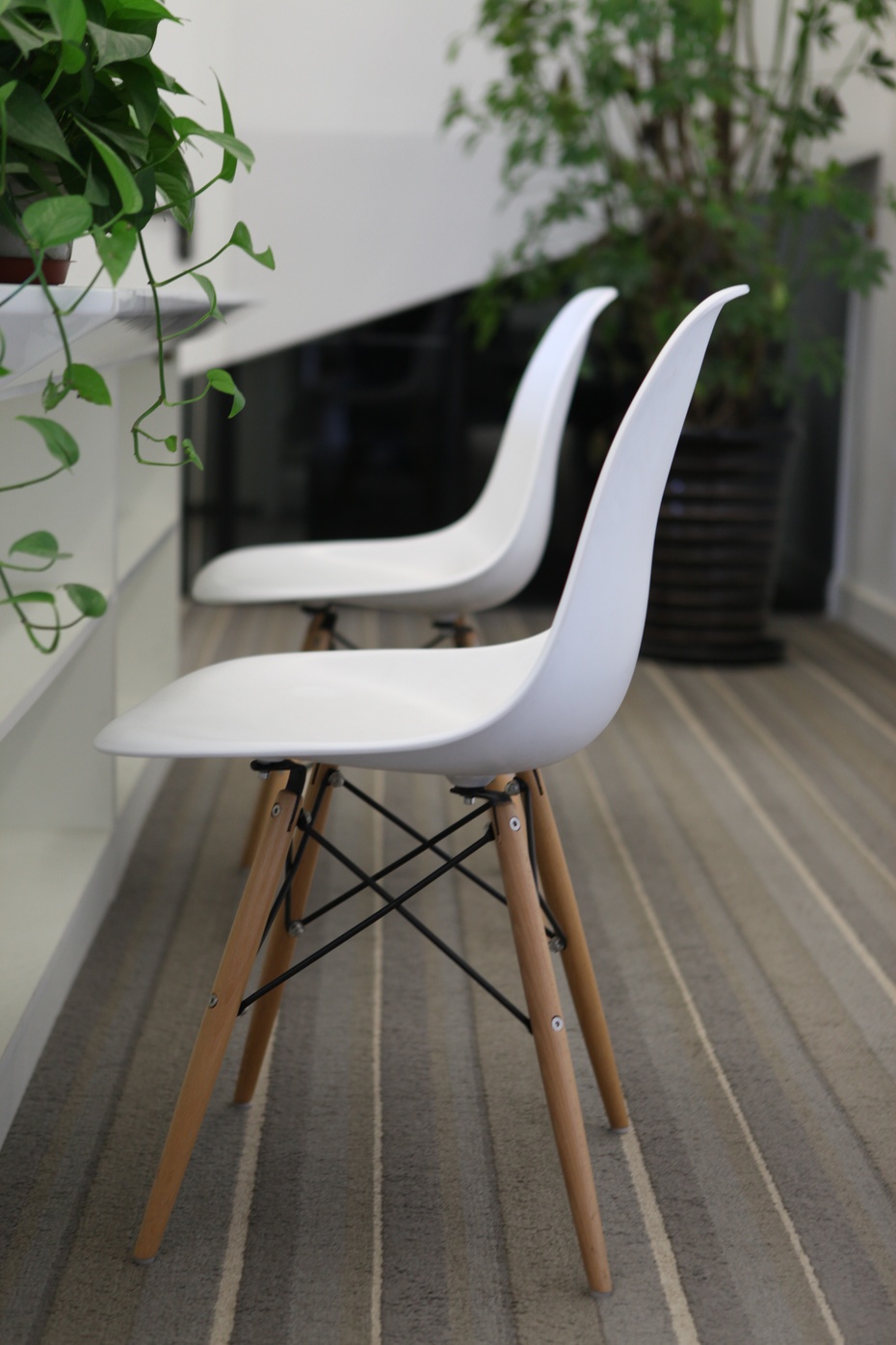 上海辦公室裝修公司綠植擺放設(shè)計(jì)-第6張圖片-上海古都建筑設(shè)計(jì)集團(tuán) 上海辦公室裝修公司綠植擺放設(shè)計(jì)-第6張圖片-上海古都建筑設(shè)計(jì)集團(tuán)